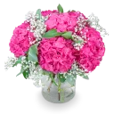 Pink Eleonora